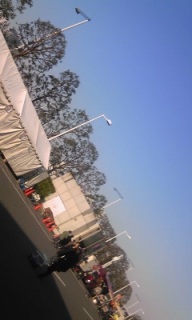 �Q�X���~�R�~�����