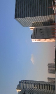 �Q�X���~�R�~����́B�Q