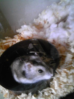 �n�������