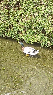 �J������A�b�v